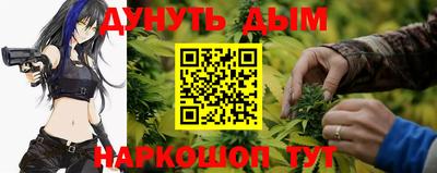 трава Славгород