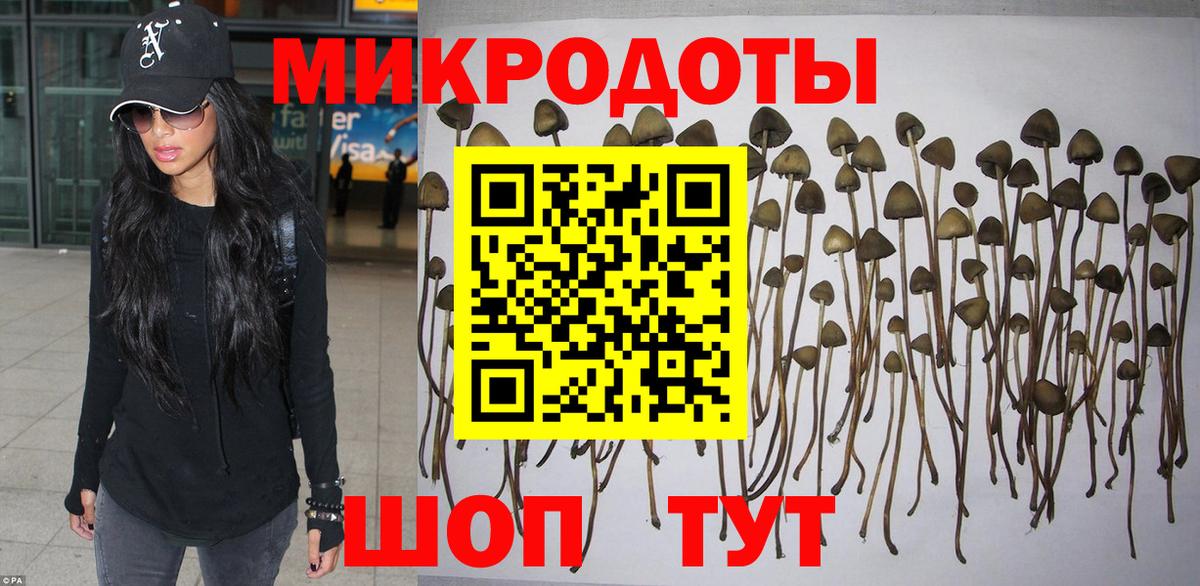 Новошахтинск  Псилоцибиновые грибы MAGIC MUSHROOMS  Галлюциногенные грибы Magic Shrooms  Вход с VPN 