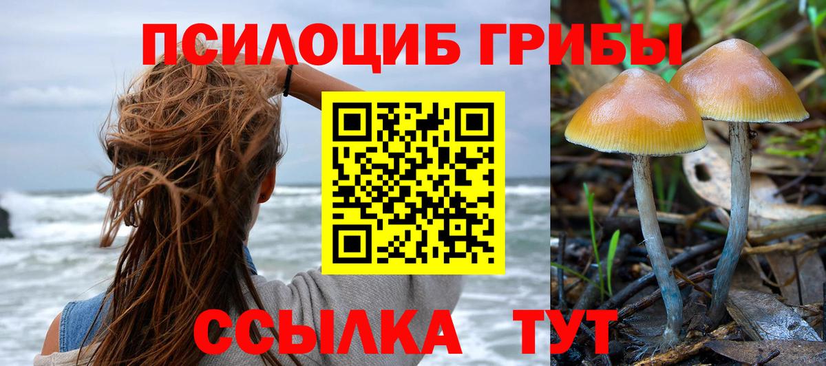 Псилоцибиновые грибы ЛСД Новошахтинск